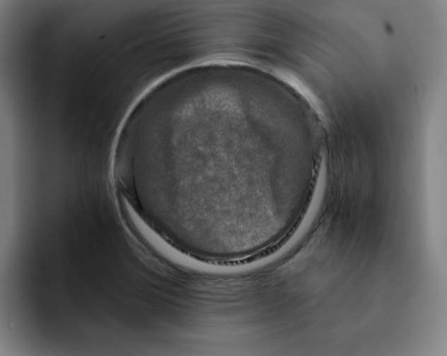 X0000091901372200709261650