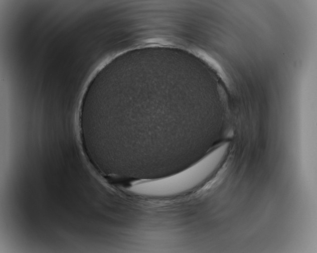 X0000091901373200709261650