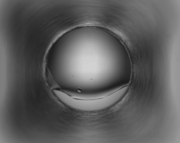 X0000091901374200709261650