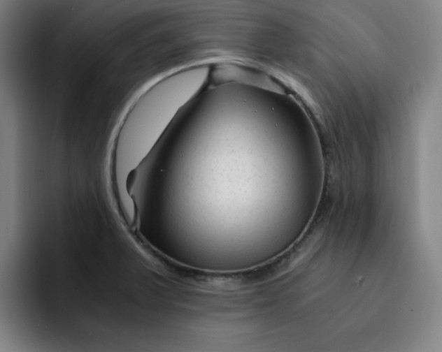 X0000091901375200709261650