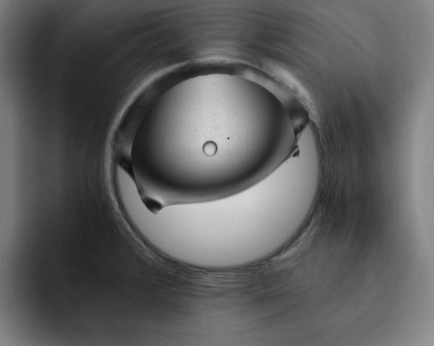 X0000091901376200709261650