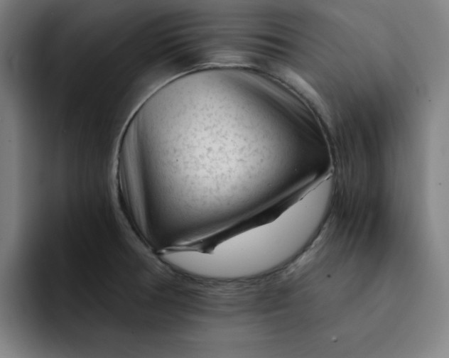 X0000091901378200709261650