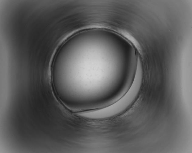 X0000091901380200709261650