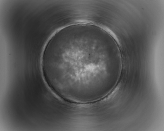 X0000091901381200709261650