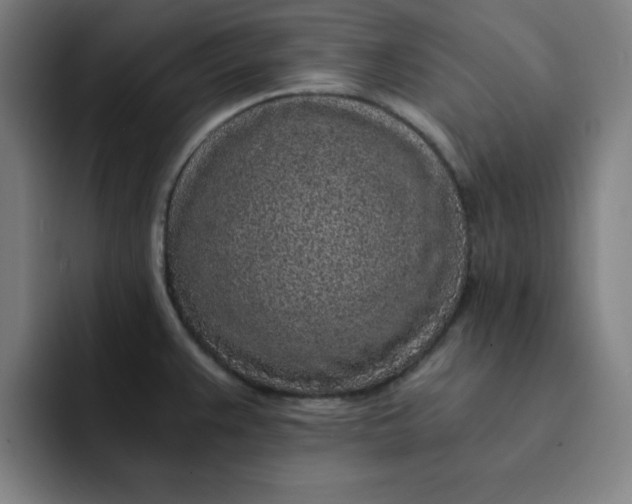 X0000091901383200709261650