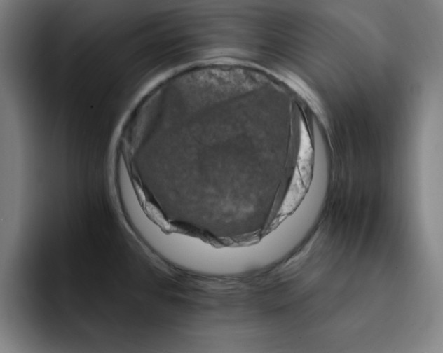 X0000091901384200709261650