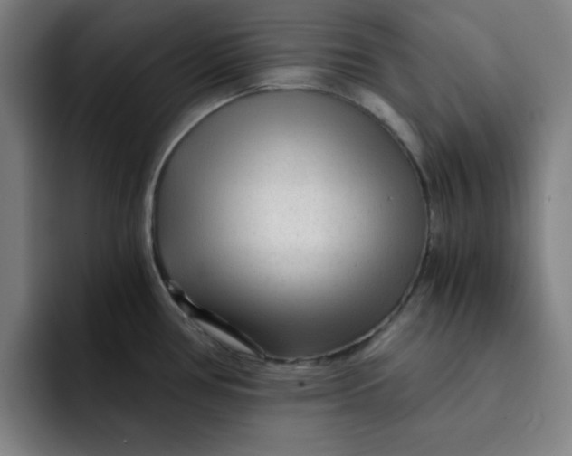 X0000091901386200709261650