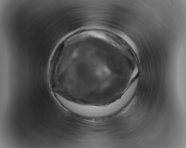 X0000091901388200709261650