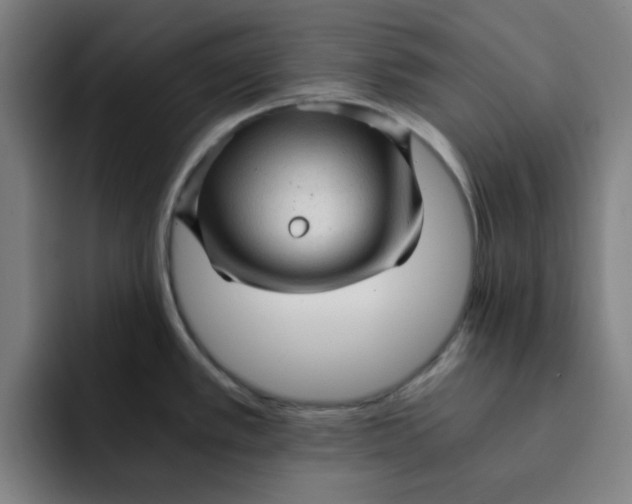 X0000091901389200709261650