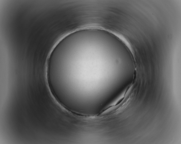 X0000091901390200709261650