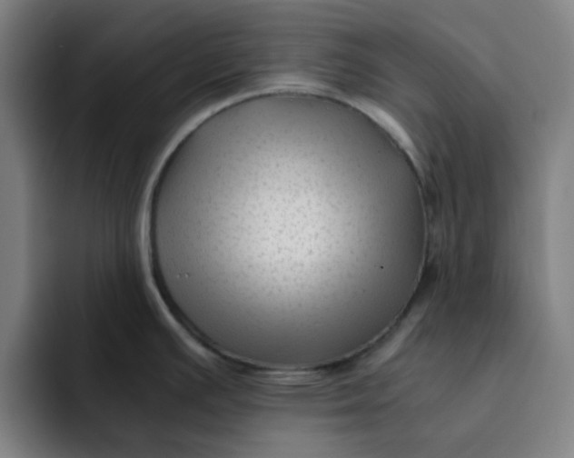 X0000091901391200709261650