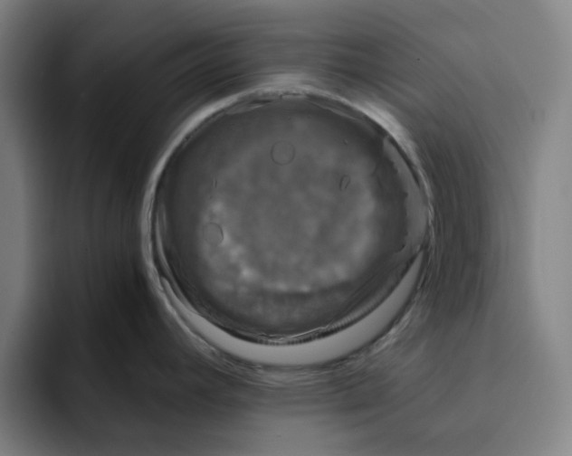 X0000091901392200709261650