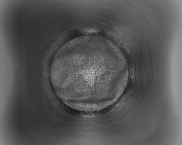 X0000091901393200709261649