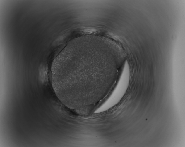 X0000091901394200709261649