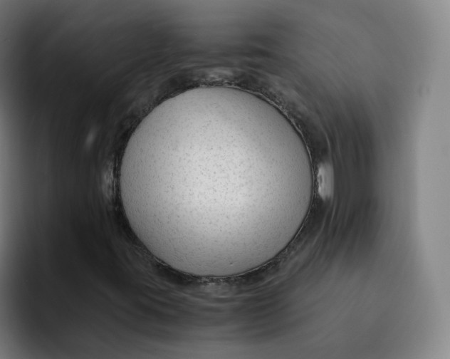 X0000091901395200709261649