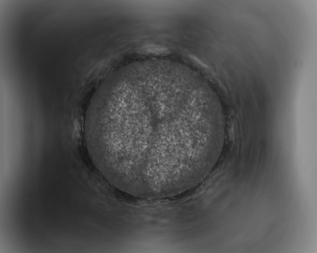 X0000091901397200709261649