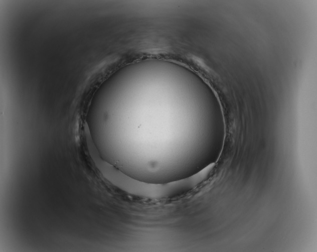 X0000091901398200709261649