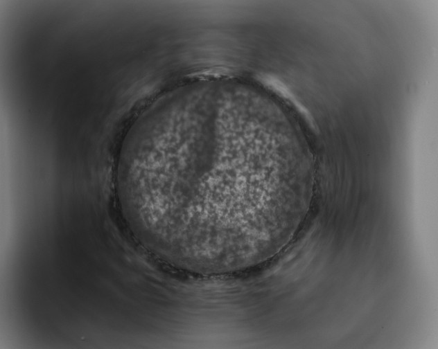 X0000091901399200709261649