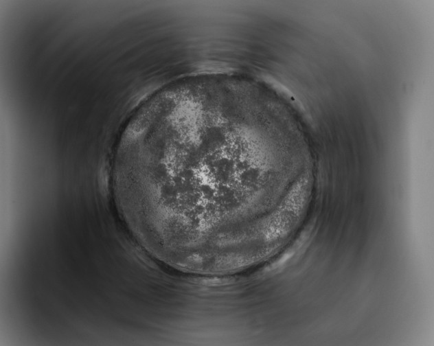 X0000091901401200709261649