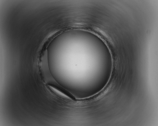 X0000091901402200709261649