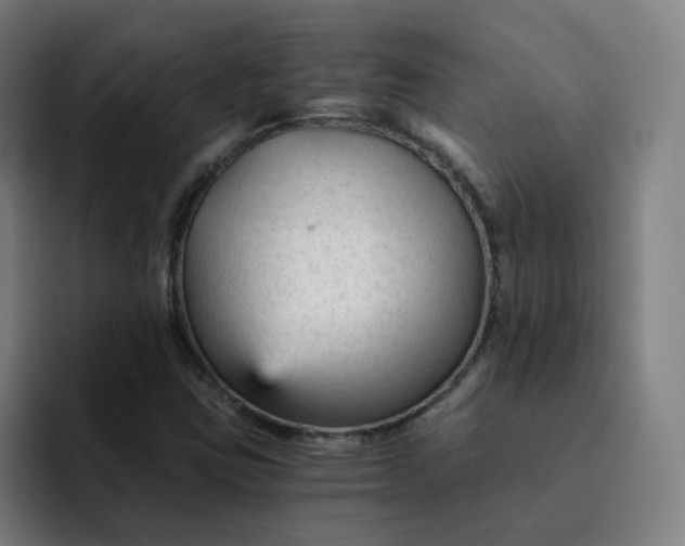 X0000091901403200709261649