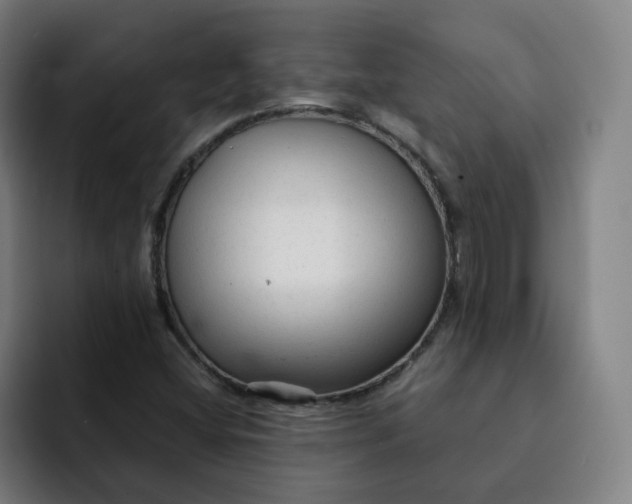 X0000091901404200709261649