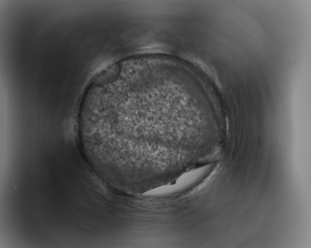 X0000091901405200709261649