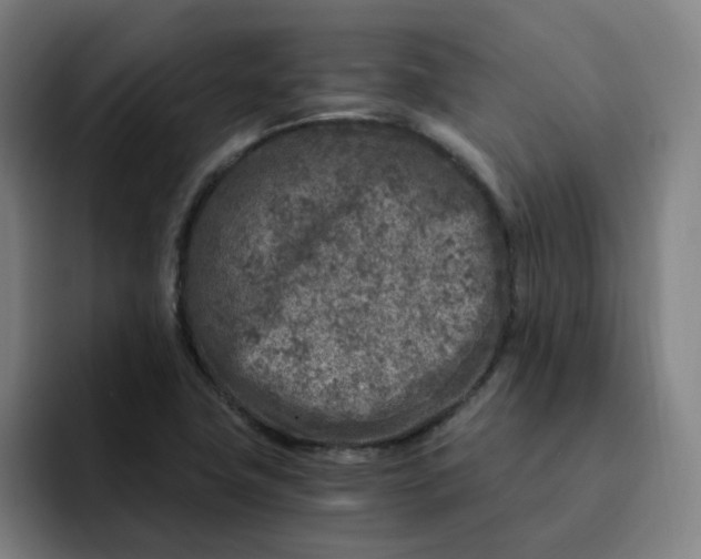 X0000091901411200709261649