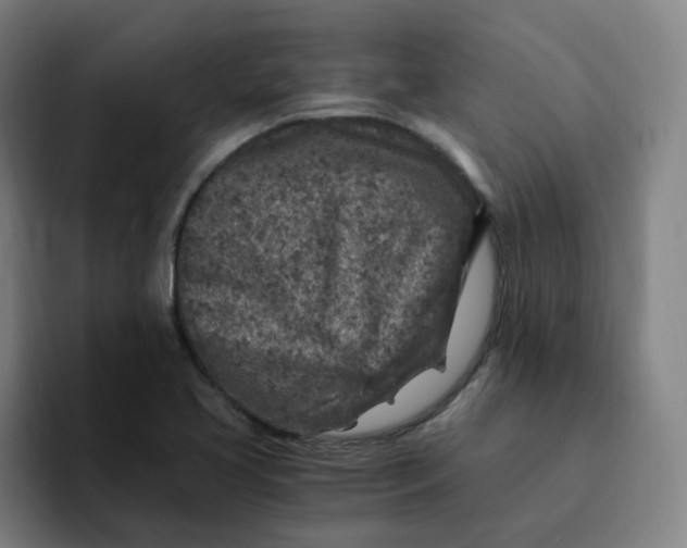 X0000091901413200709261649