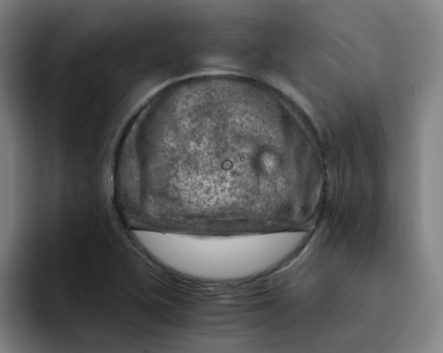 X0000091901415200709261649