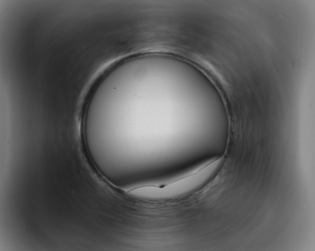 X0000091901416200709261649