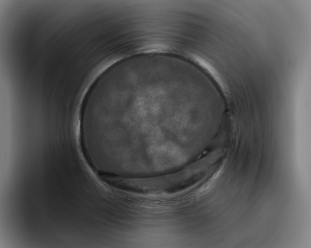 X0000091901418200709261649