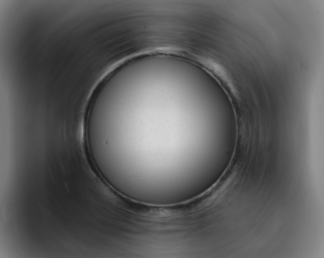 X0000091901420200709261649