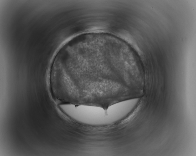 X0000091901421200709261649