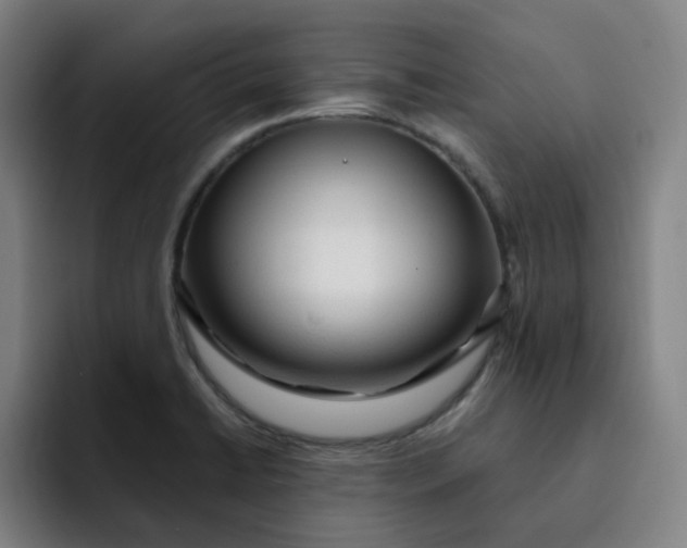 X0000091901422200709261649