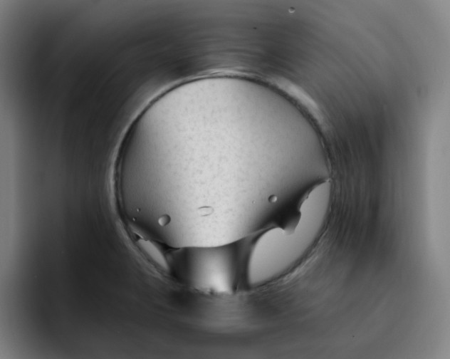 X0000091901423200709261649