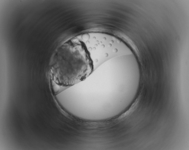 X0000091901425200709261649