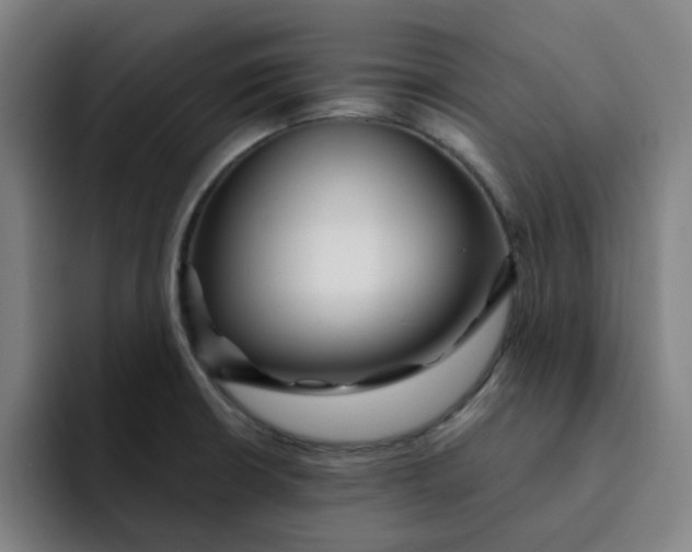 X0000091901426200709261649