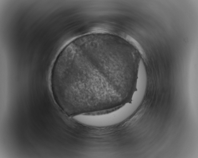 X0000091901427200709261649