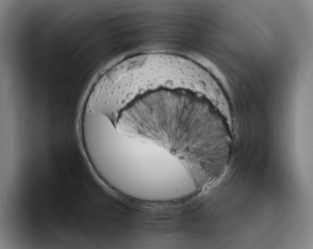 X0000091901429200709261650