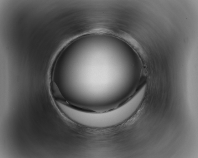 X0000091901430200709261650