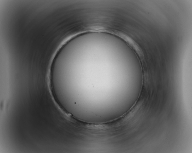 X0000091901432200709261650