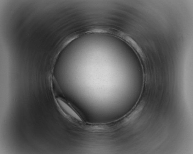 X0000091901433200709261650