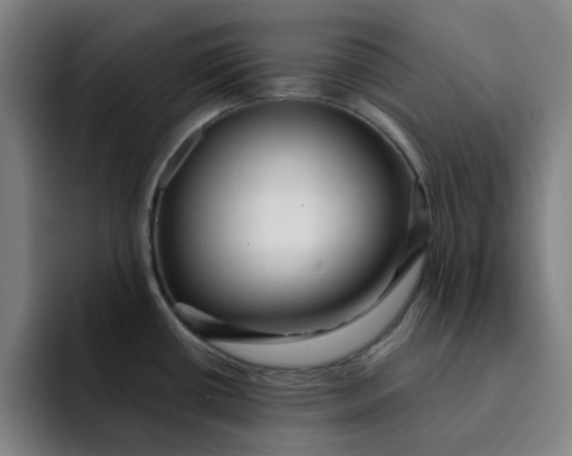 X0000091901434200709261650