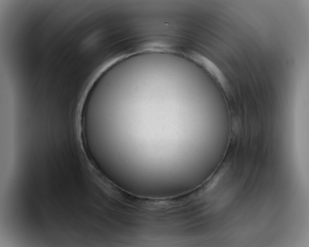 X0000091901435200709261650