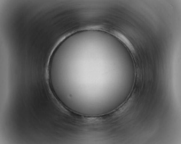 X0000091901436200709261650