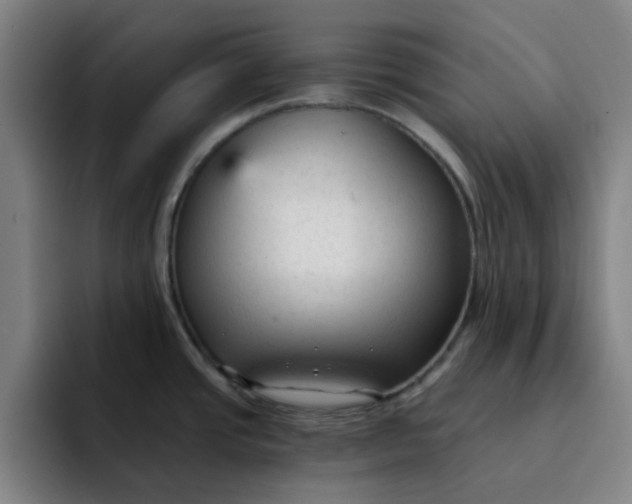 X0000091901437200709261650