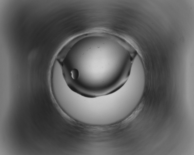 X0000091901438200709261650