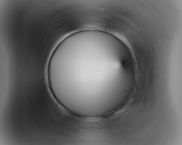 X0000091901440200709261650