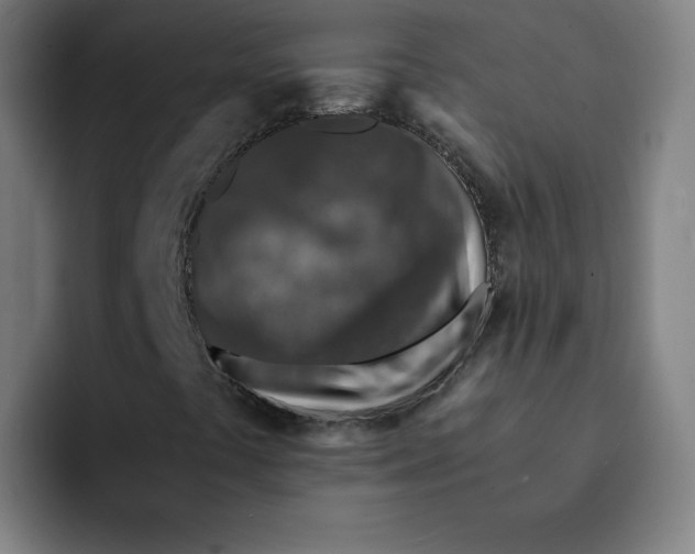 X0000091901441200709261649